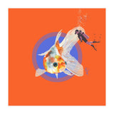Koi Carp N Diver (Print Only) thumbnail