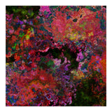 Blooms  (Print Only) thumbnail
