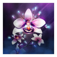 Orchid Meditation (Print Only)