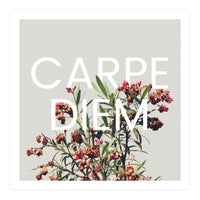 Carpe Diem (Print Only)