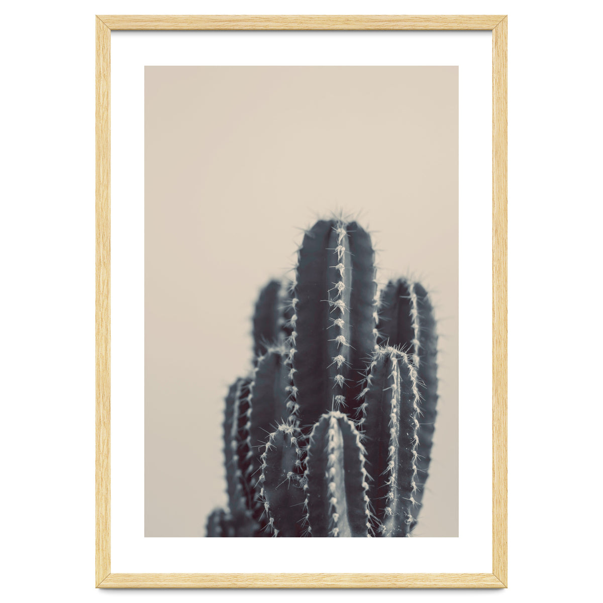Vintage Cactus #1