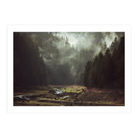 Foggy Forest Creek (Print Only)