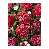 Blossom Love (Print Only) thumbnail