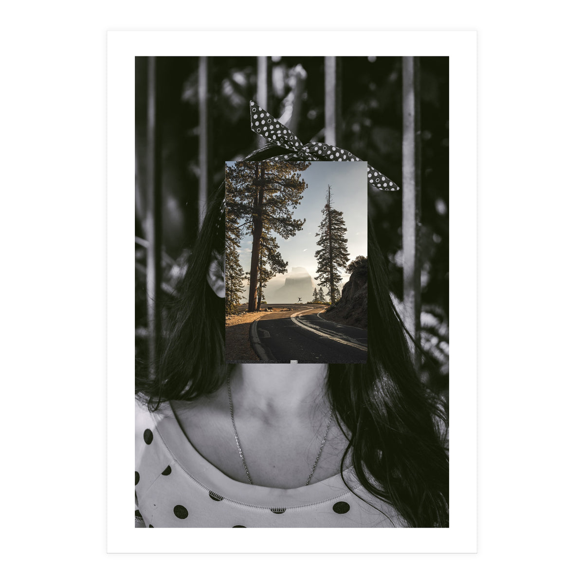 Silva Where Are You? (Print Only)