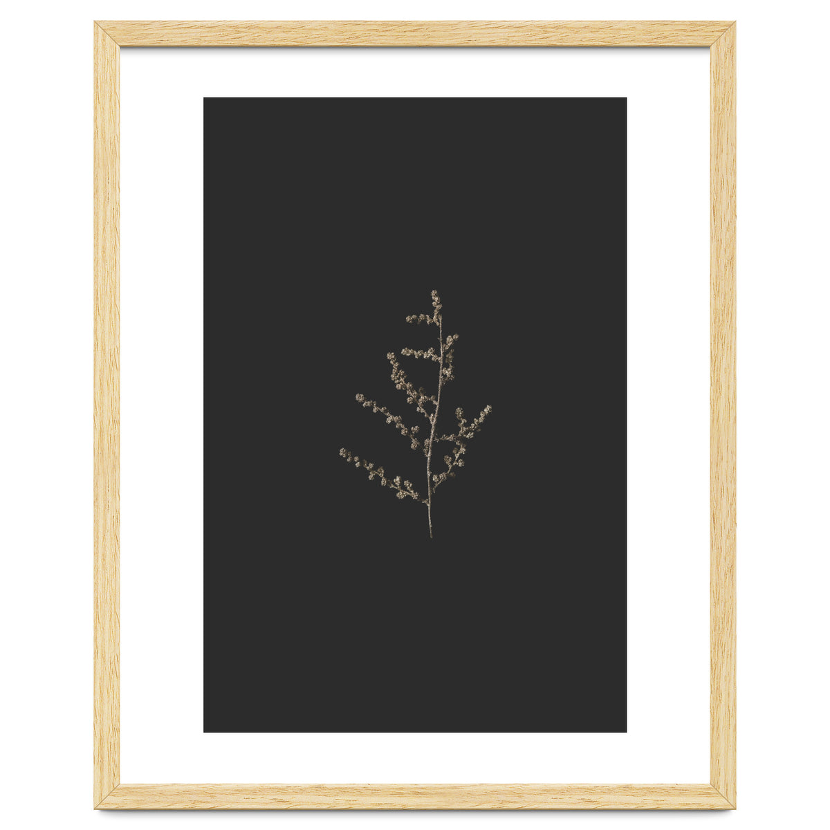 Dainty Botanicals in Gold and Black
