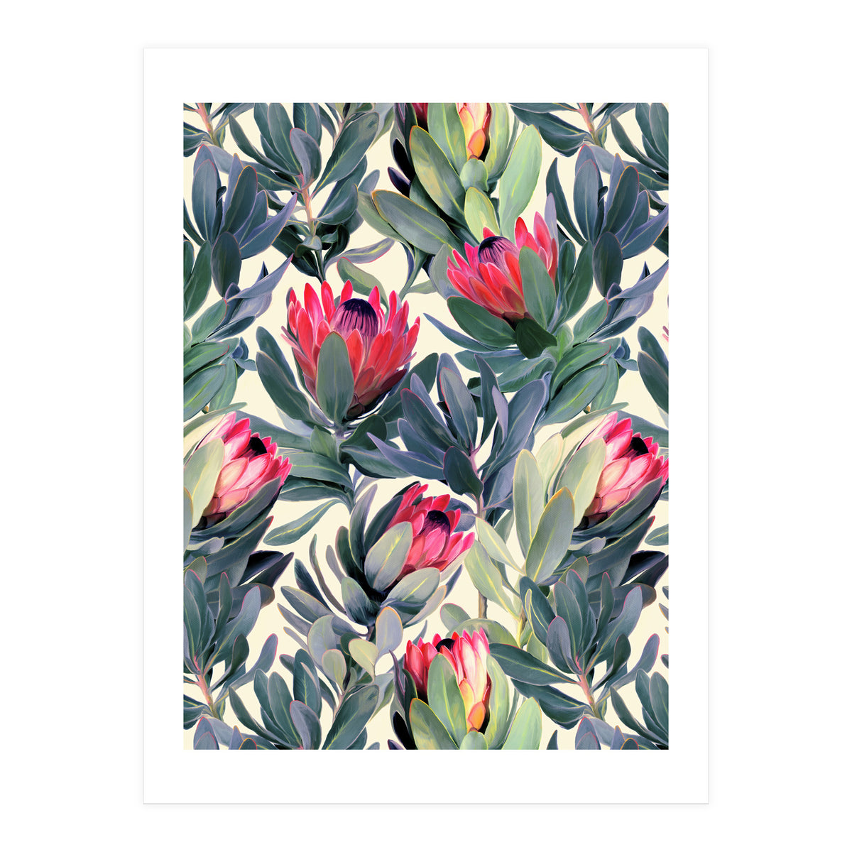Painted Protea Pattern (Print Only)