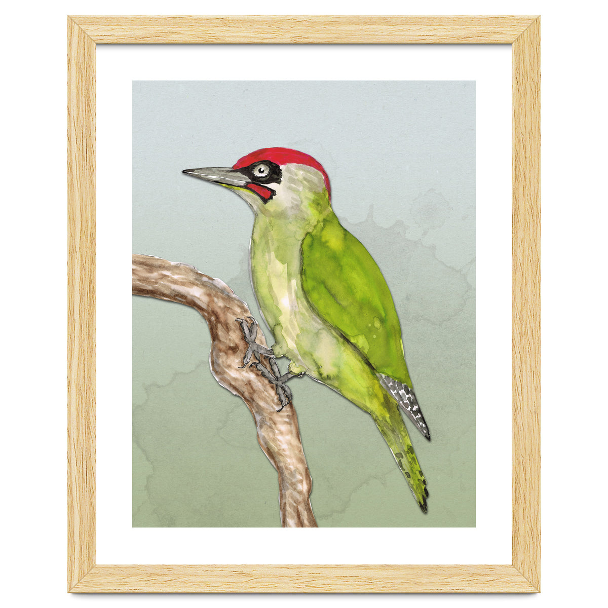 Green woodpecker
