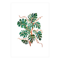 Monstera Deliciosa (Print Only)