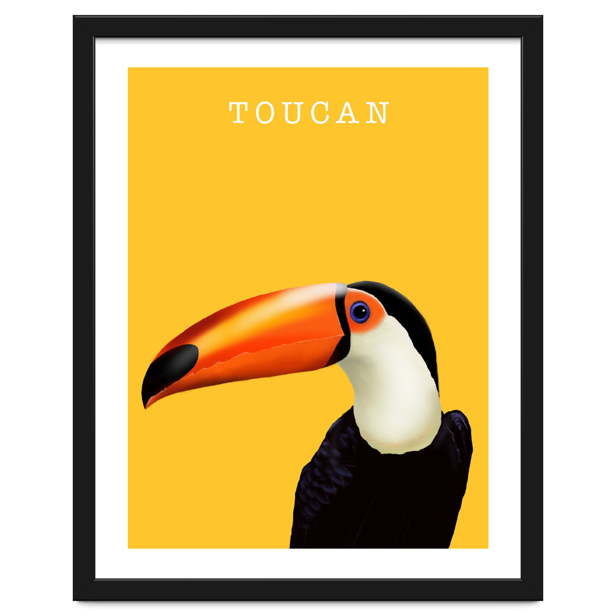 Toucan