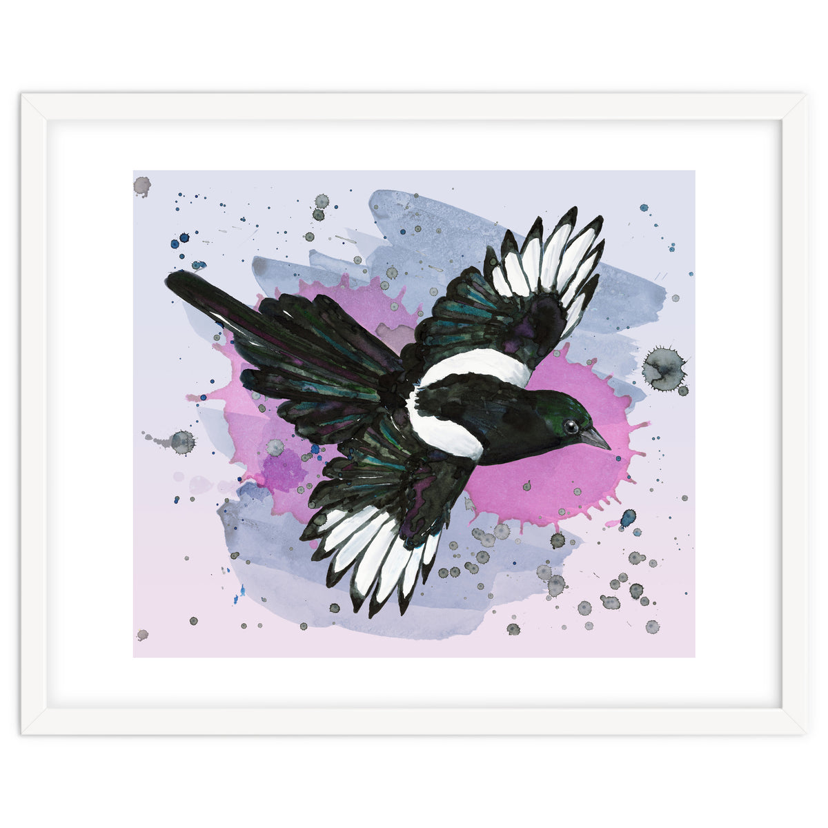 A watercolor drawing of a flying magpie