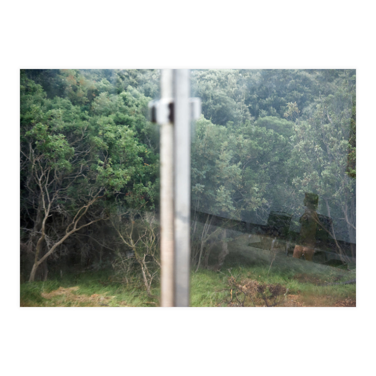 Diary of a Stalker (Print Only)