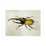 83 (Print Only) thumbnail
