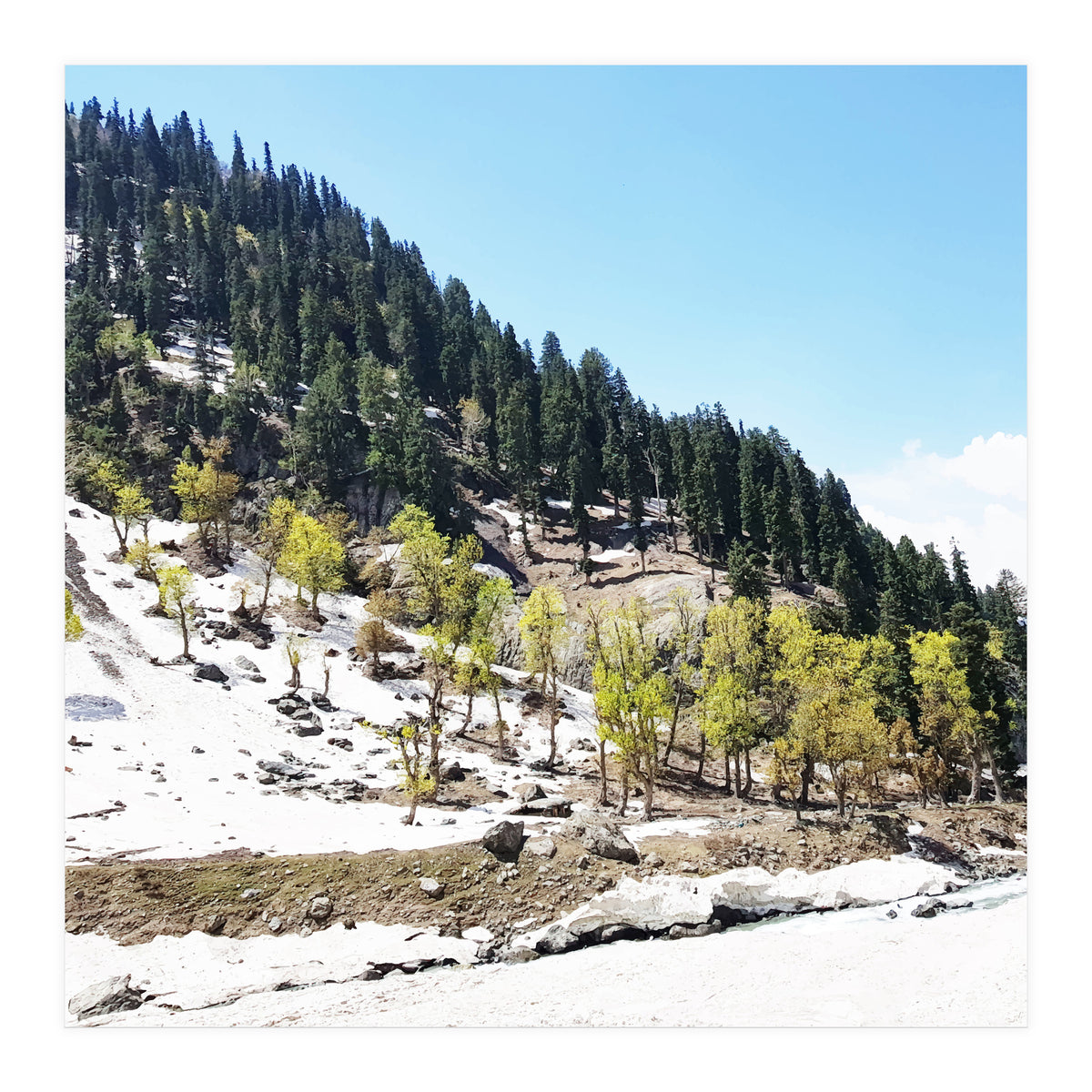 Kashmir V2 (Print Only)