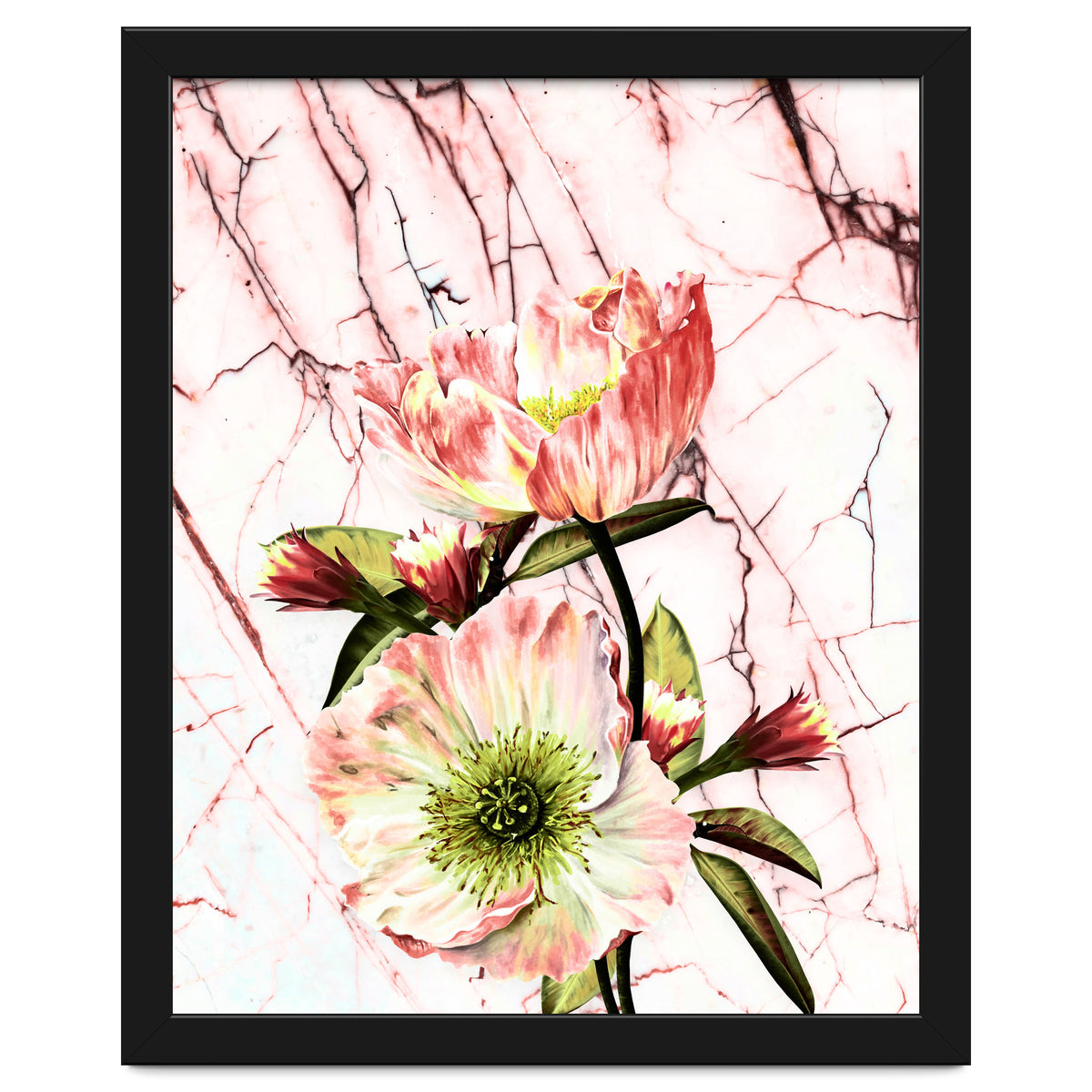 Flowering on pink marble