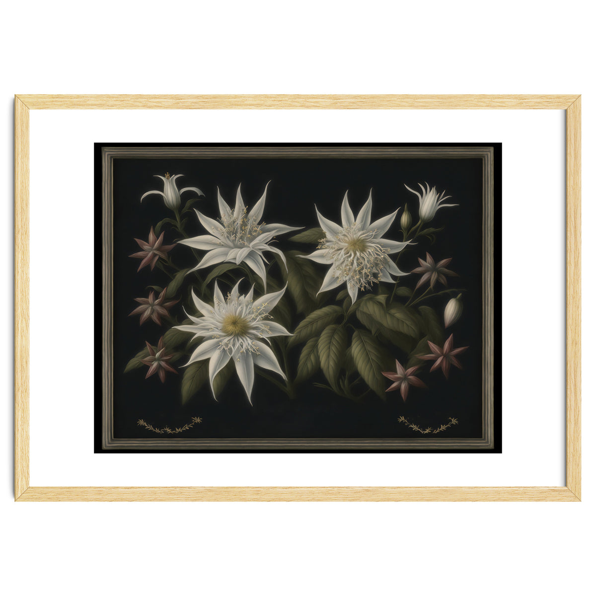 Edelweiss Vintage Illustration
