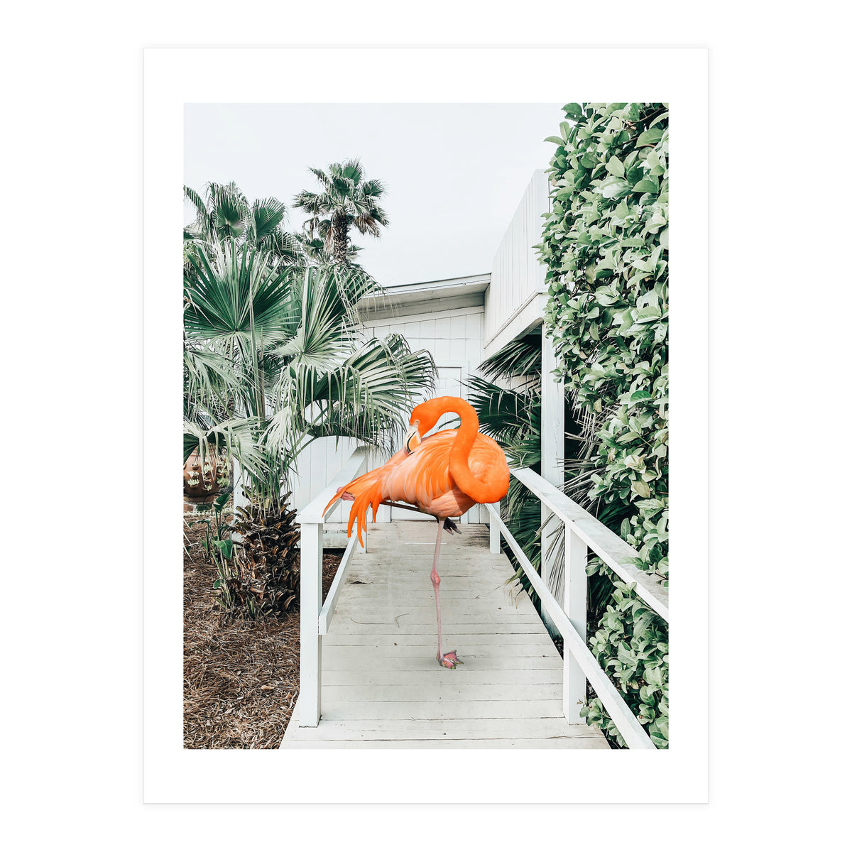 Flamingo Beach House (Print Only)