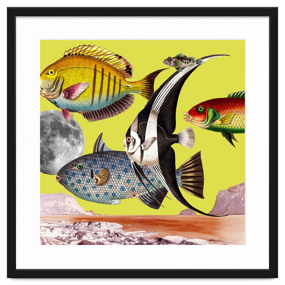 Plenty Of Fish In The Sea Yellow