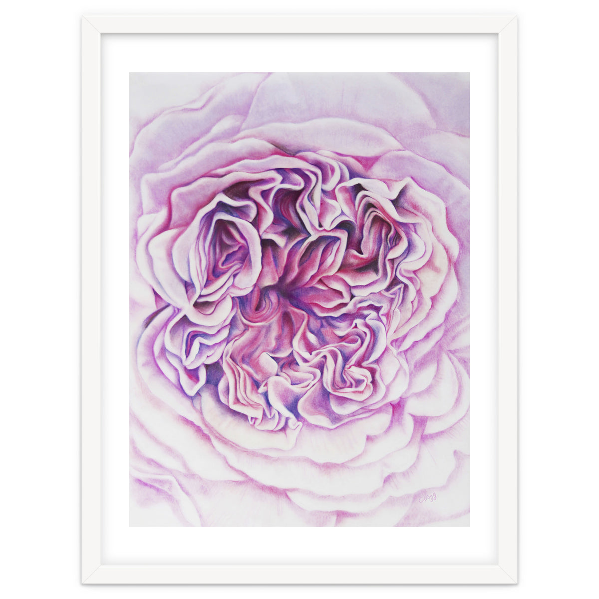 A Rose Is A Rose Std