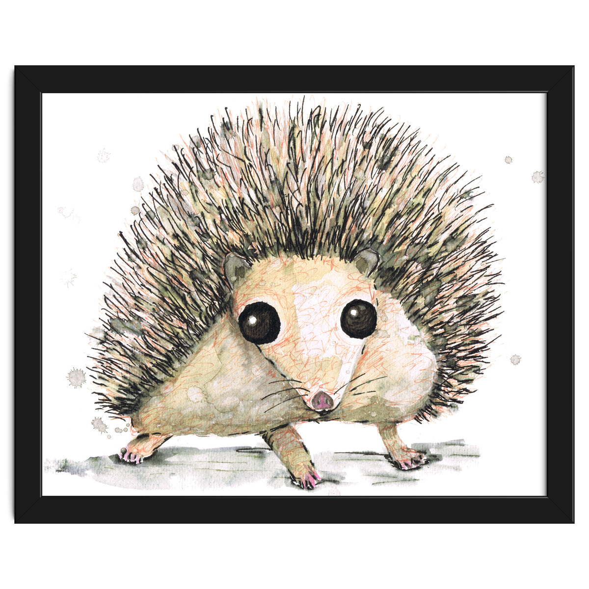 Hedgehog