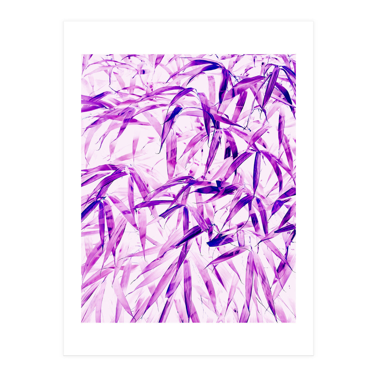 Ultra Violet (Print Only)