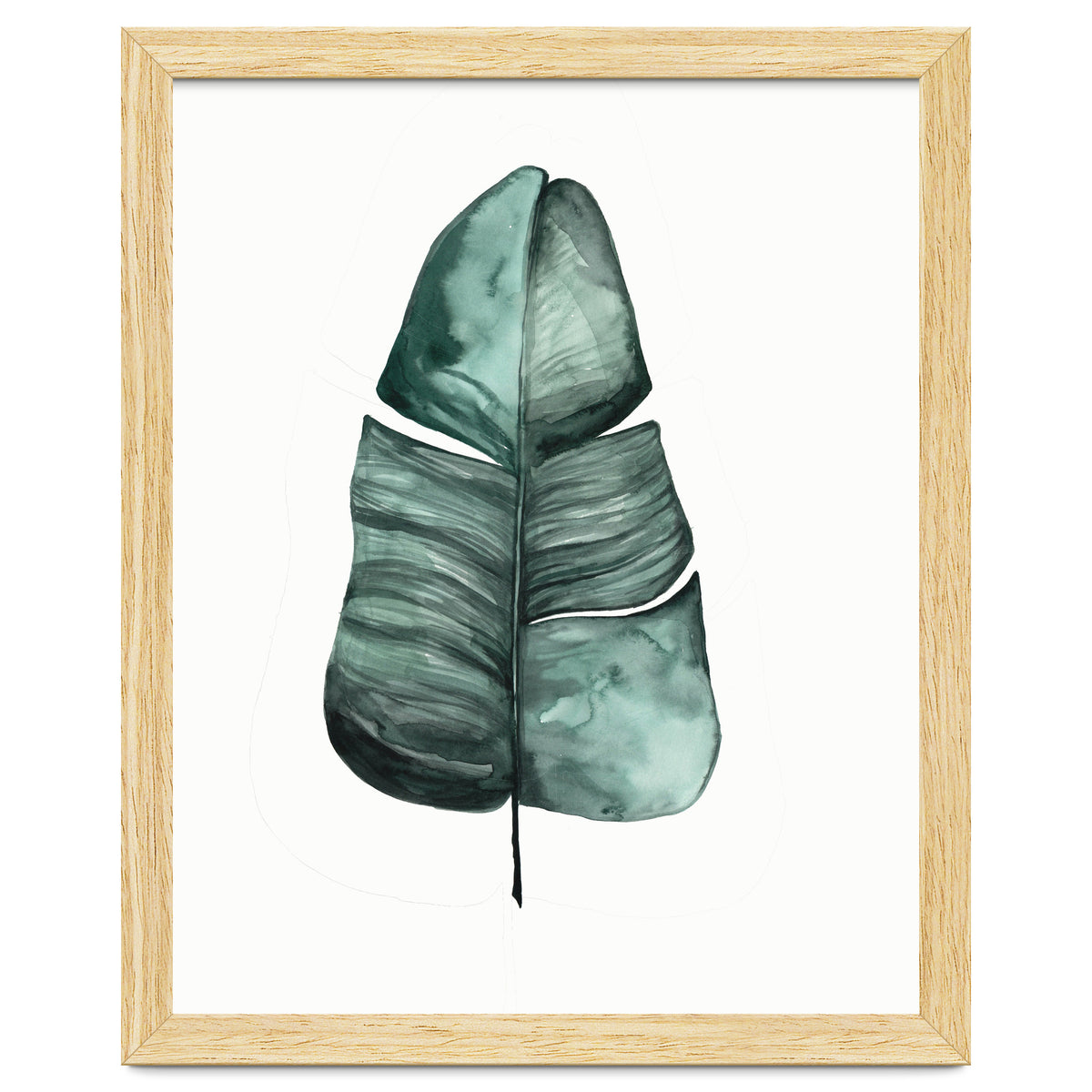 Botanical Illustration Banana Leaf