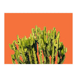Bold Cactus (Print Only) thumbnail