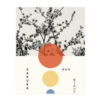 Sakura - Cherry blossom - Japanese - Photography (Print Only)
