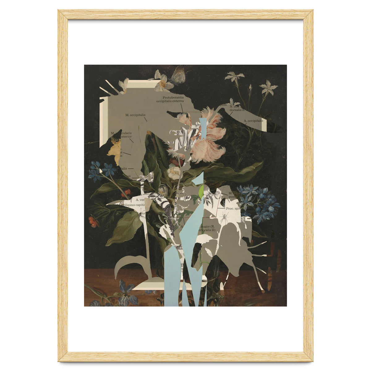 The First Plant · D2