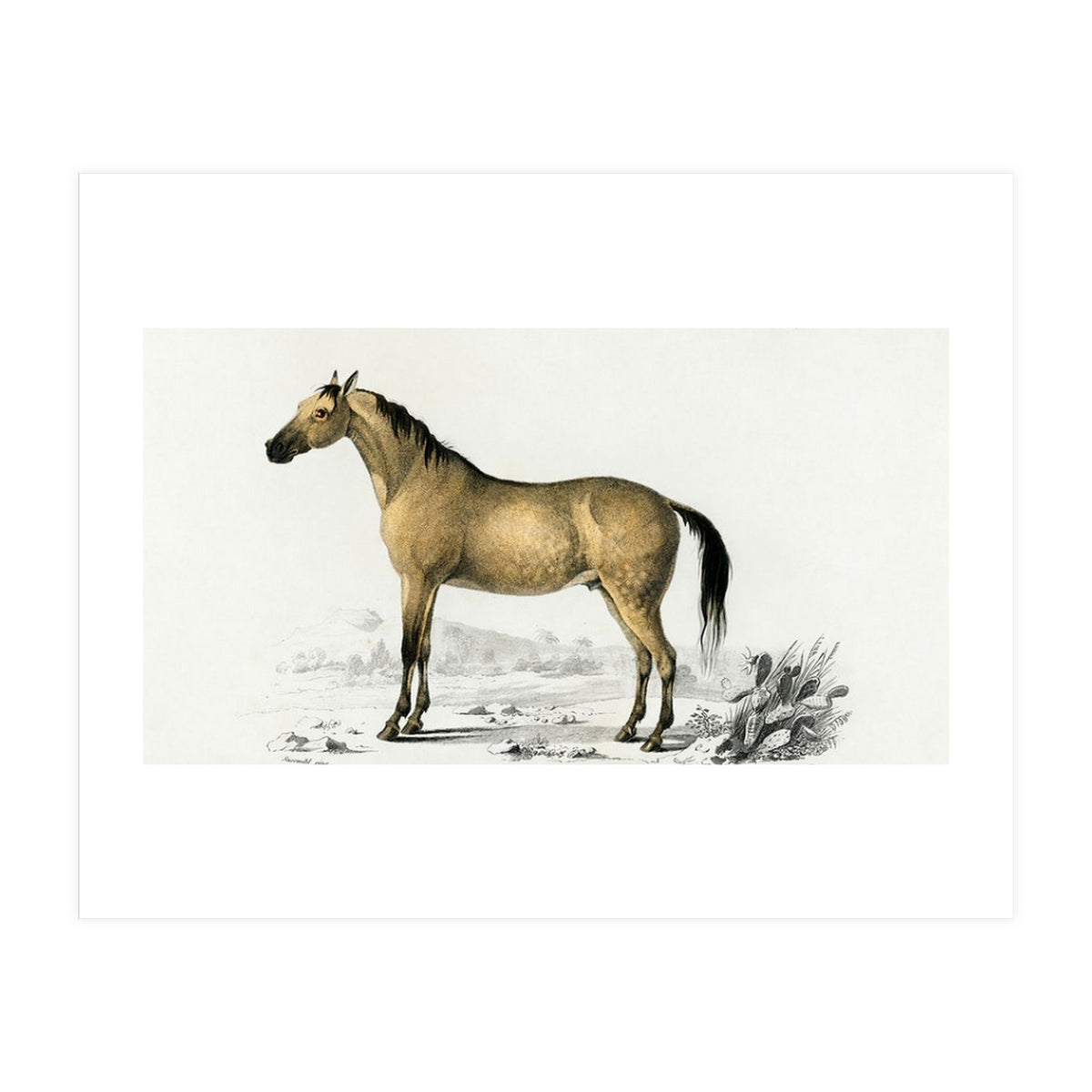 Horse (Print Only)