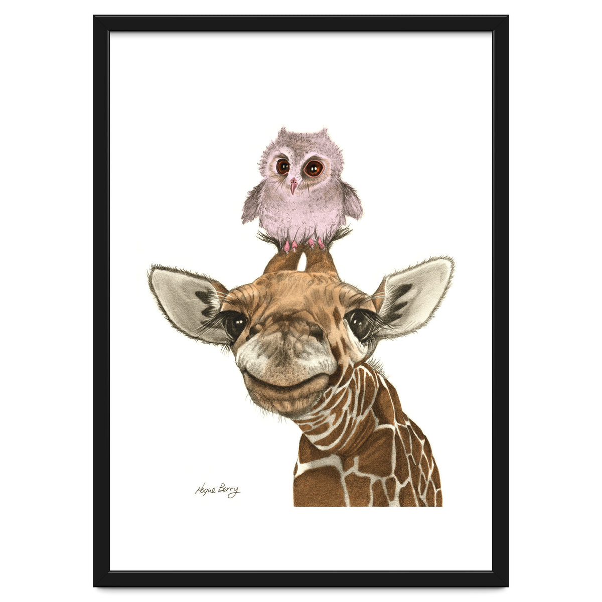 Giraffe and Owl