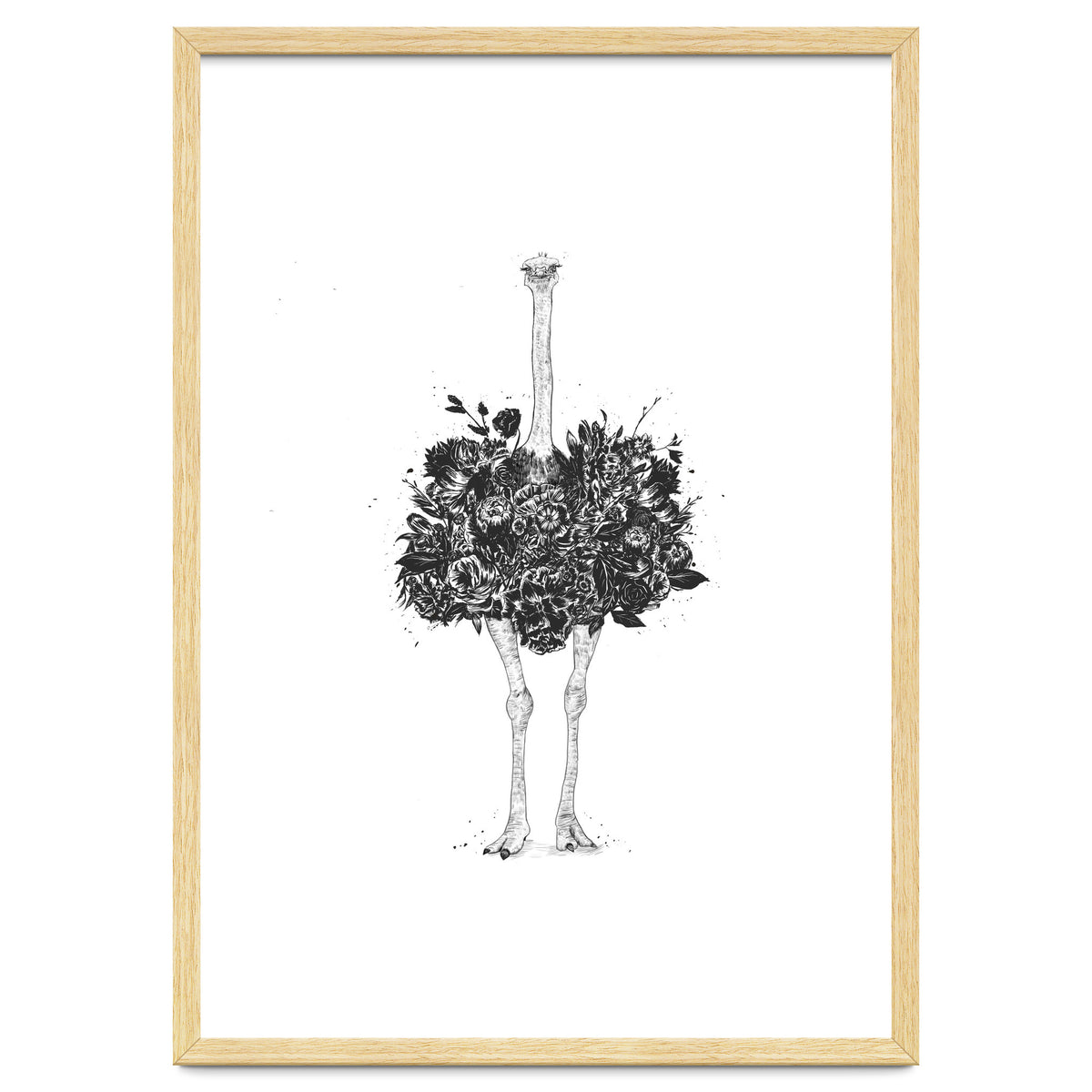 Floral Ostrich