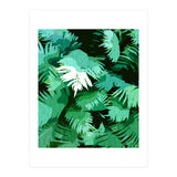 Tranquil Forest (Print Only) thumbnail