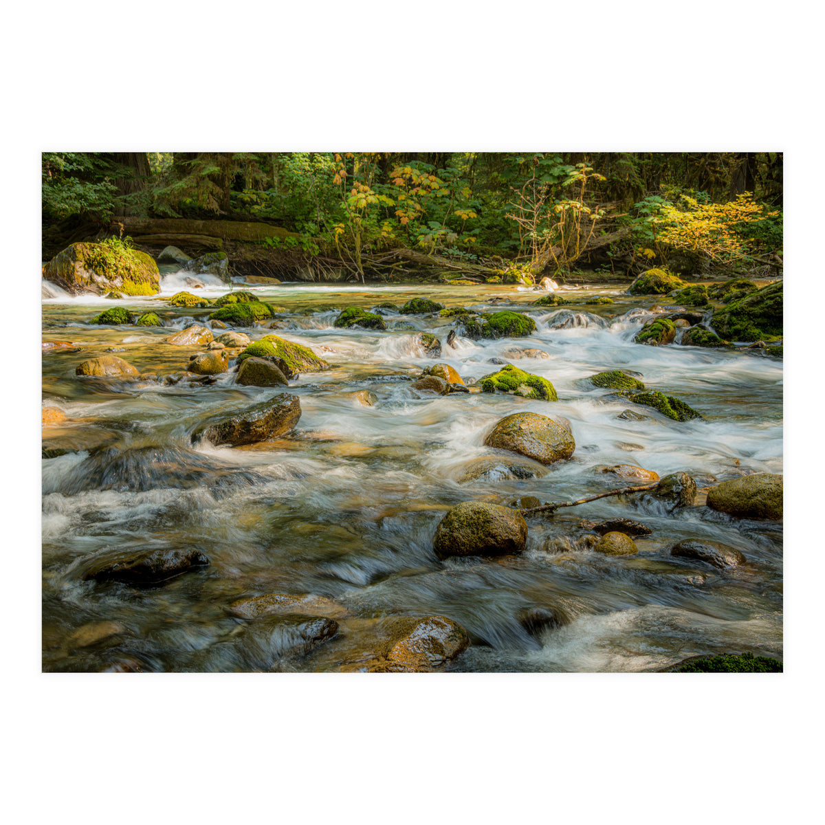 Water Flowing over Rocks (Print Only)