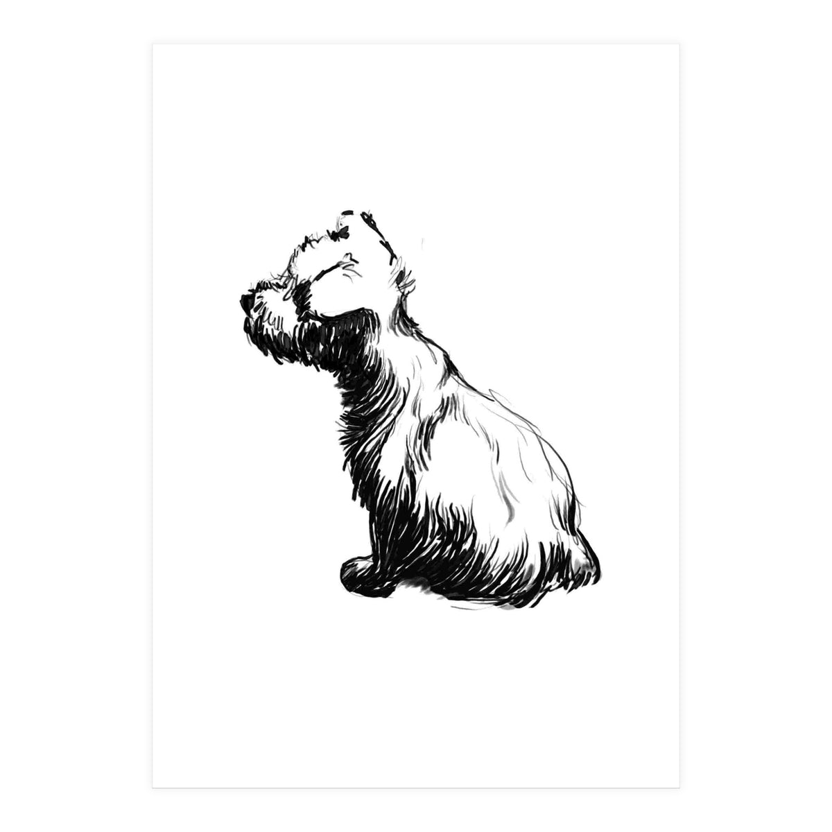Little Dog (Print Only)