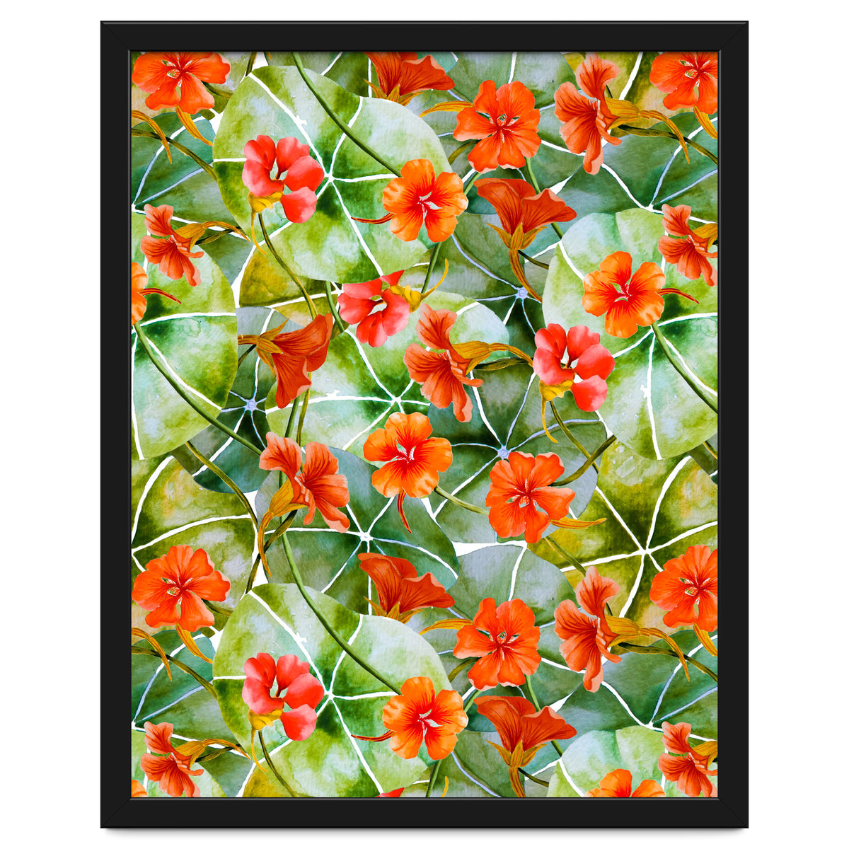 Nasturtiums watercolor 01