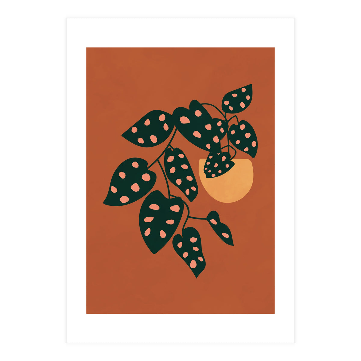 Monstera Adansonii (Print Only)