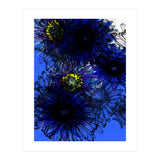 Untitledl 1 (Print Only) thumbnail