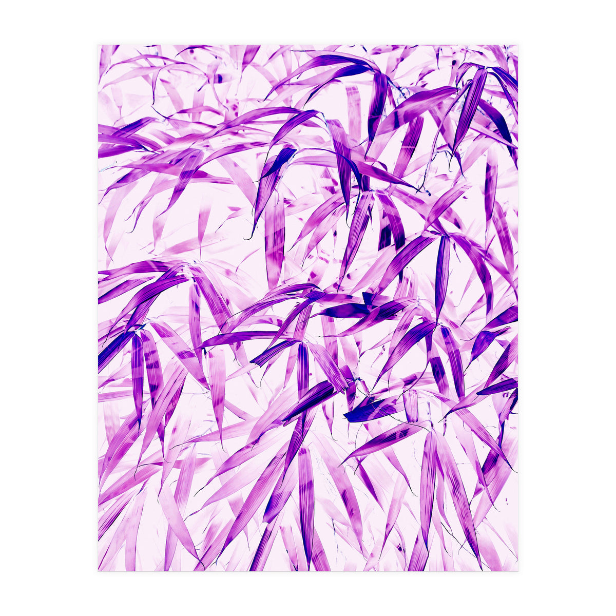 Ultra Violet (Print Only)