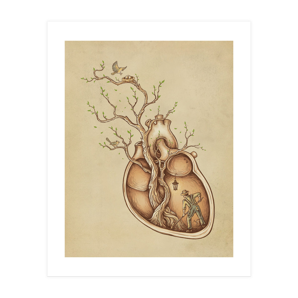 Tree Of Life (Print Only)