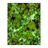 In Disguise (Print Only) thumbnail