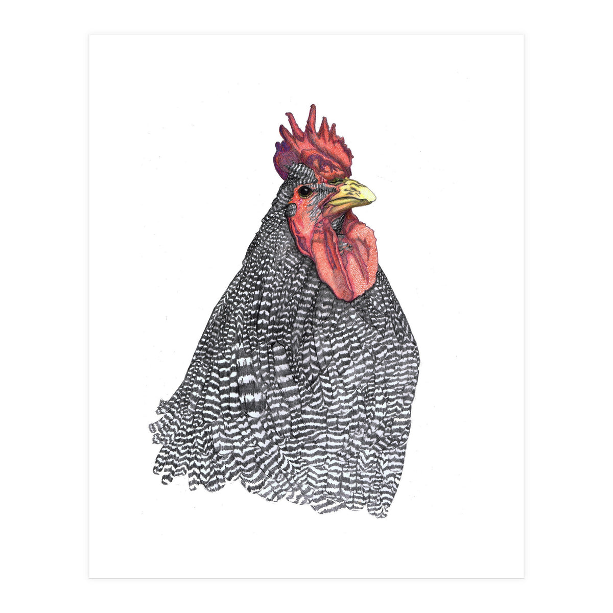 Chicken No.1 (Print Only)