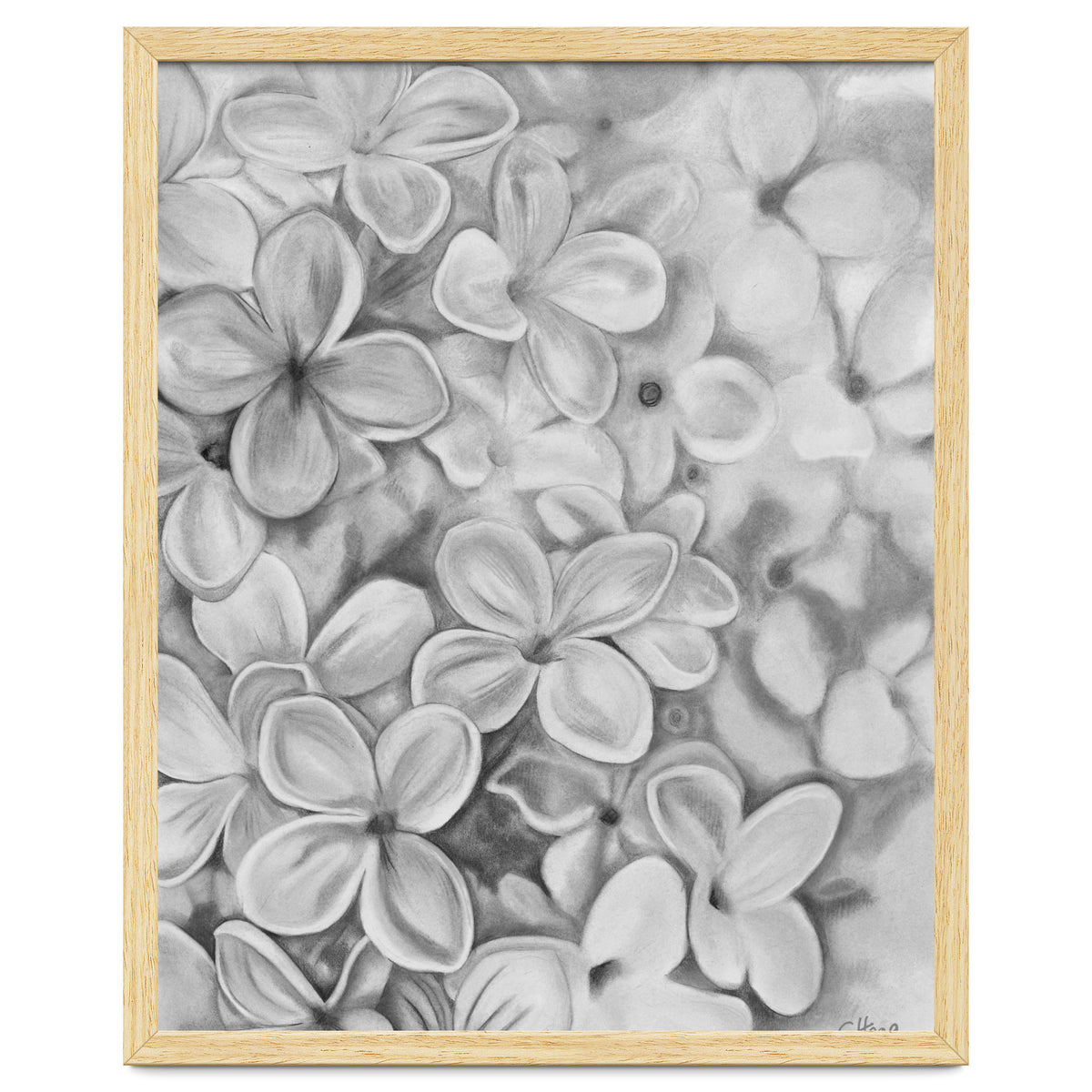 The Essence Of Spring in Monochrome