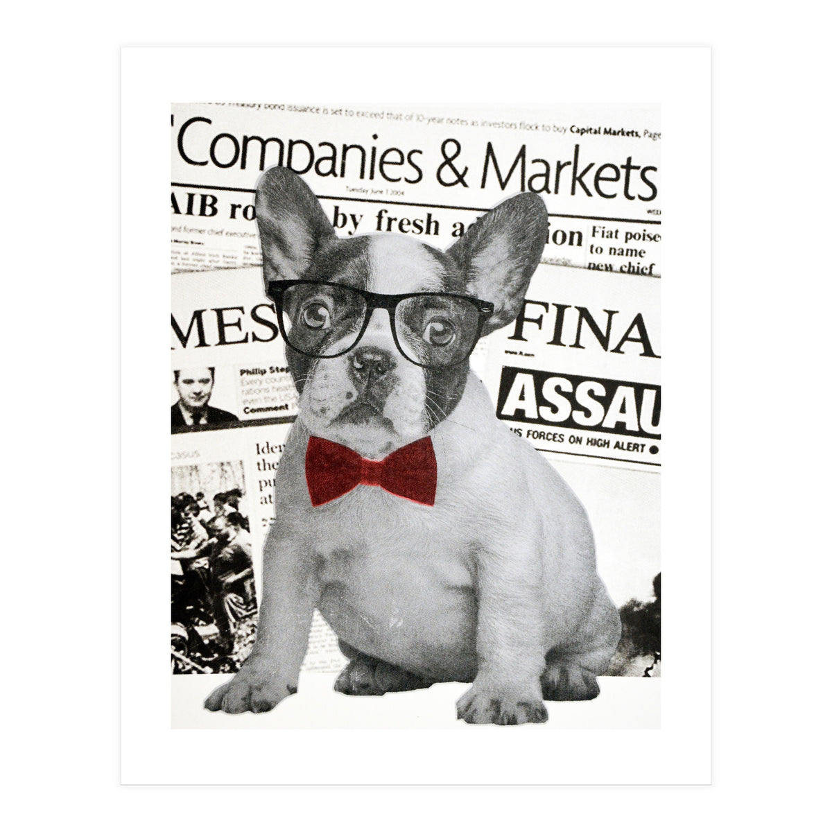 The Dog Of Wall Street (Print Only)