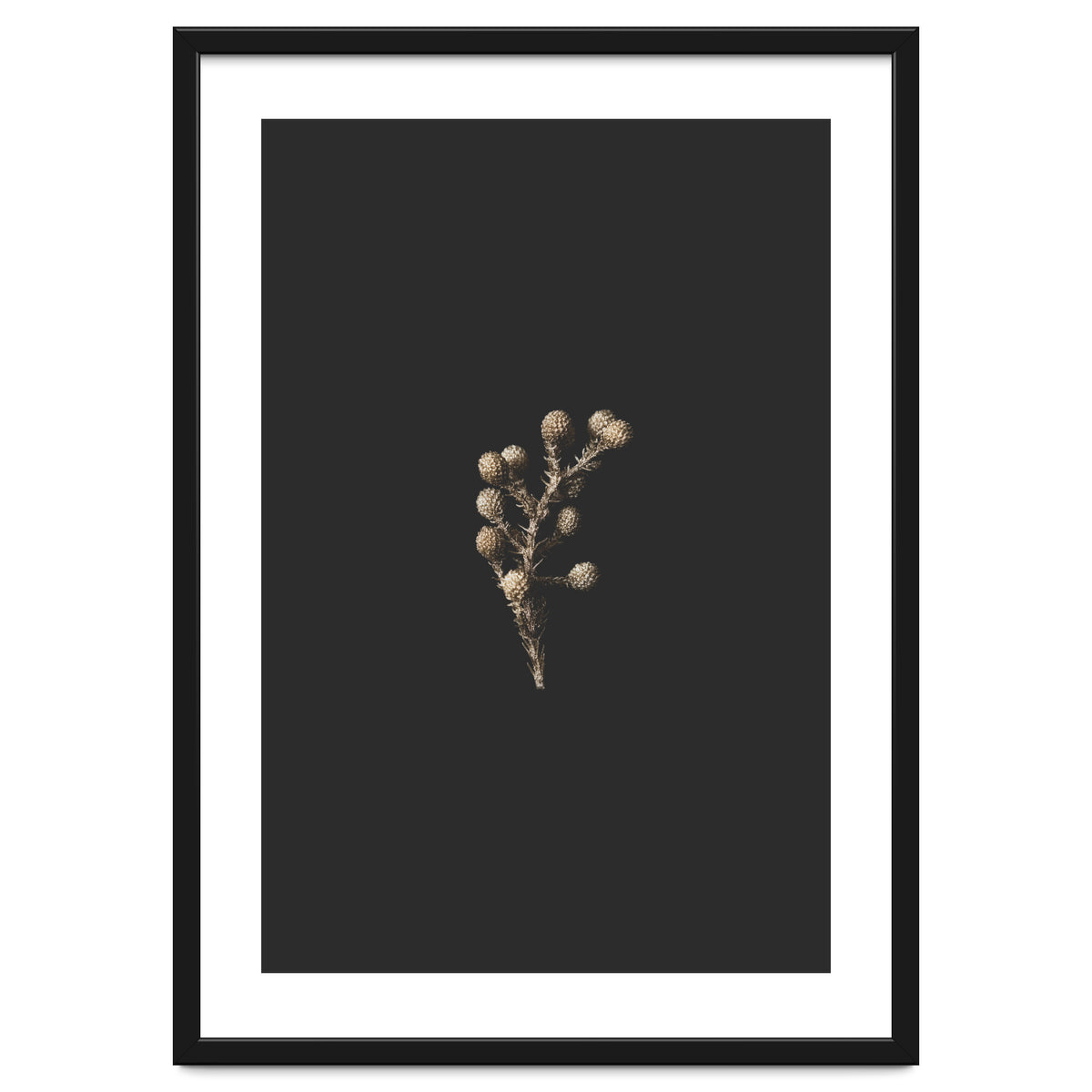 Gold Drops Botanicals