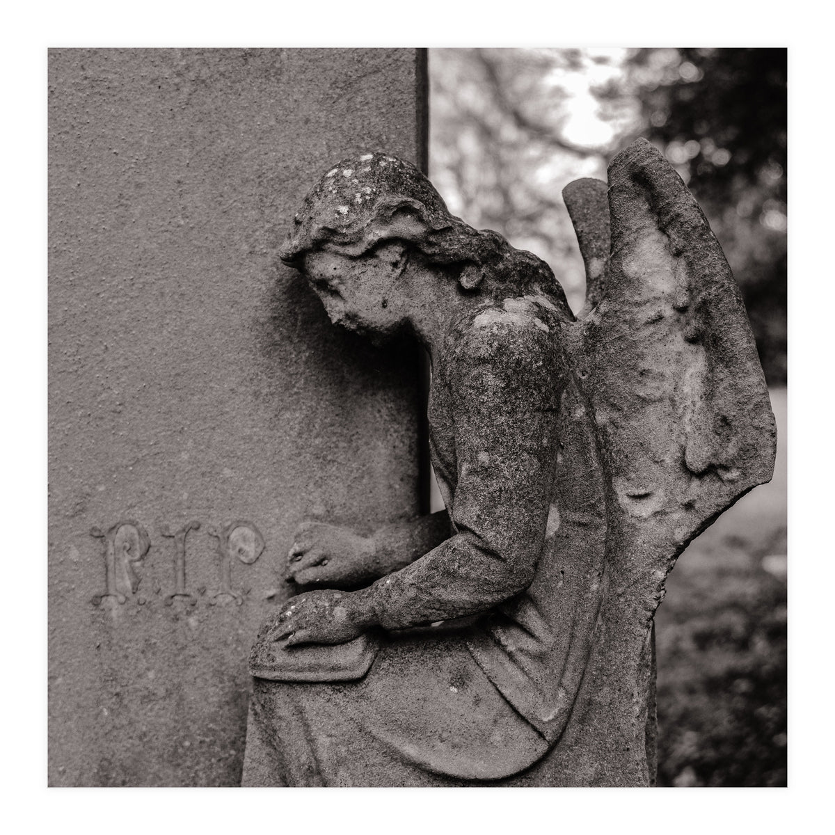 Rest in Peace (Print Only)