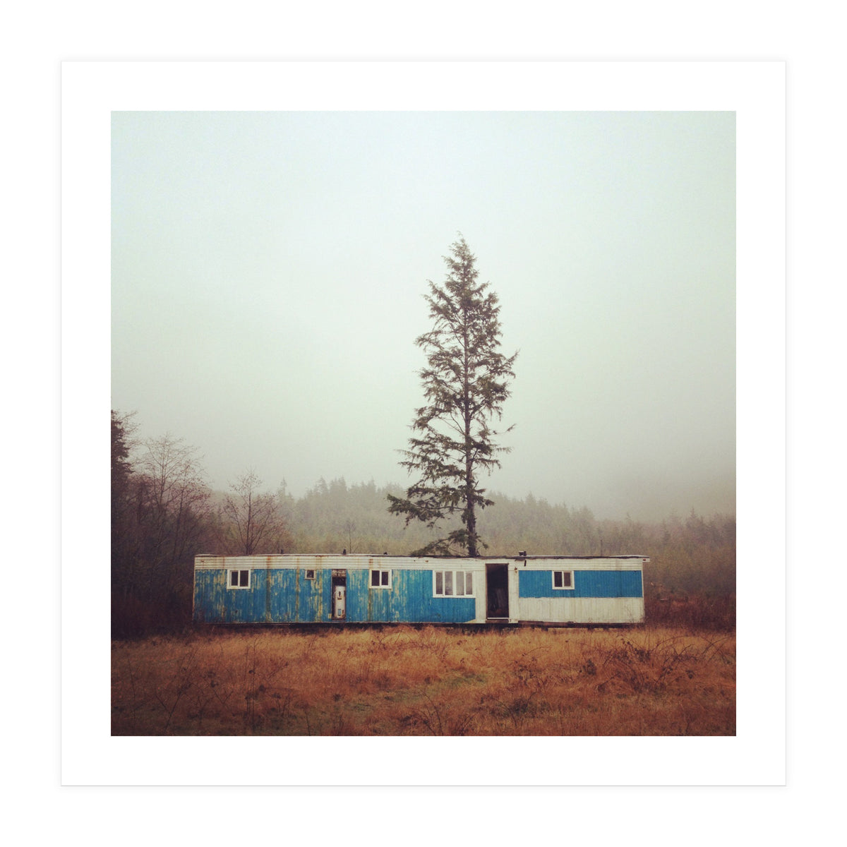 Forks Washington (Print Only)