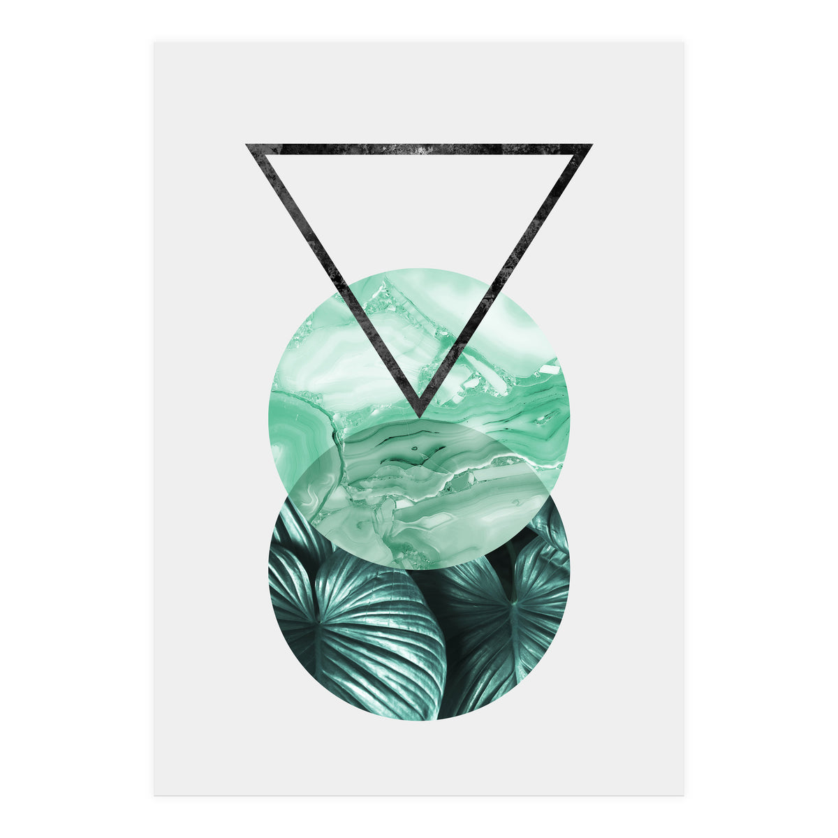 Botanical and geometric II (Print Only)