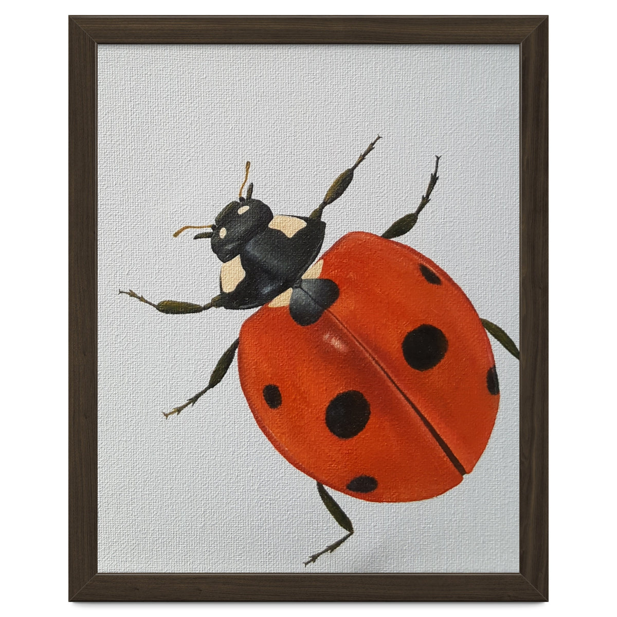 Ladybird