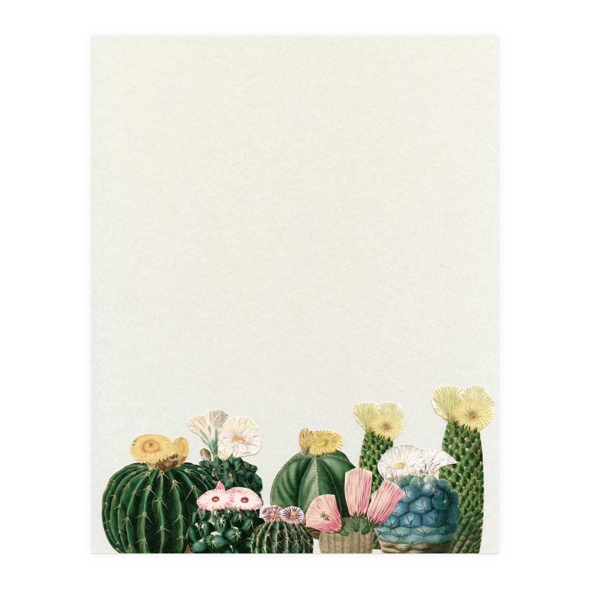 Cactus Garden (Print Only)