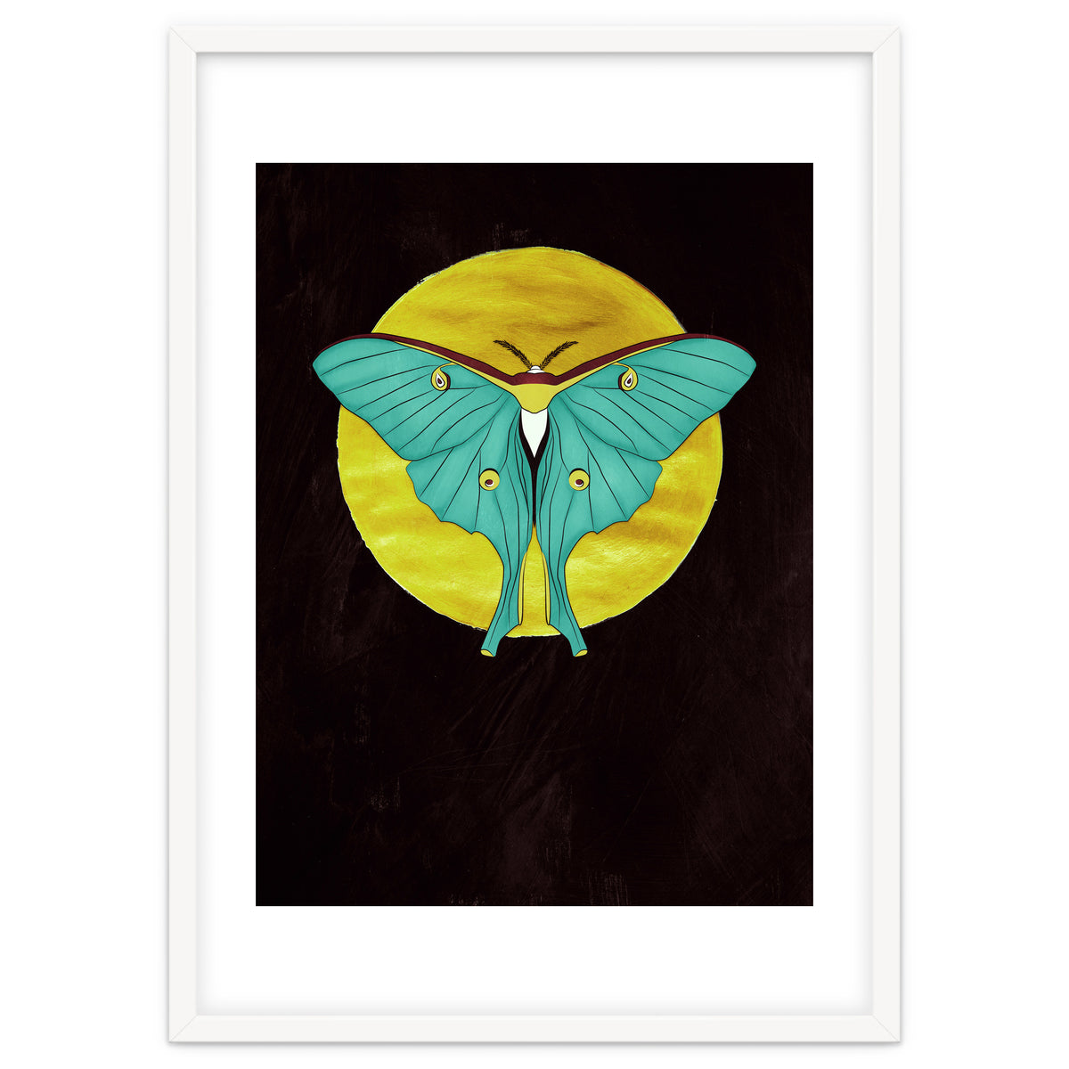 Luna Moth Moon